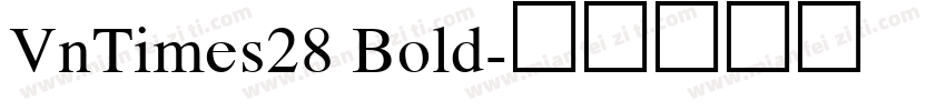 VnTimes28 Bold字体转换